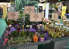 There were also tables at the fair, displaying varieties from Danish growers.